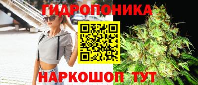 apvp Свободный