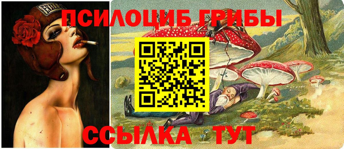 Галлюциногенные грибы GOLDEN TEACHER Нижнеудинск